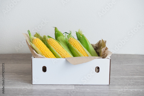 とうもろこし　ふるさと納税　返礼品