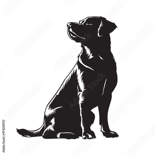 Dog silhouette collection vector. Dog in various poses and activities like jumping, sitting, running, playing, and standing. Silhouette black puppies, pet dog vector isolated on a white background