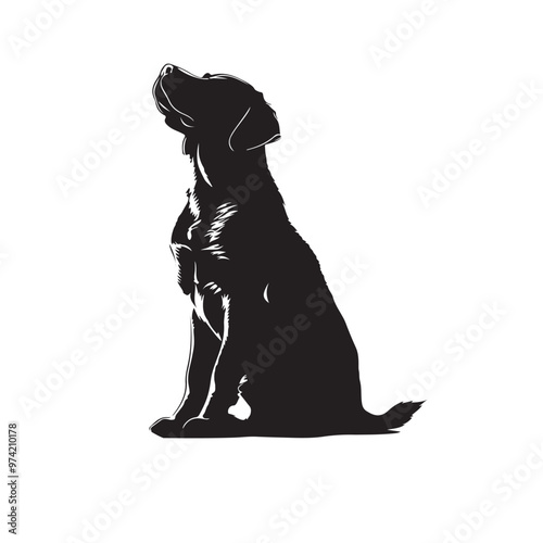 Dog silhouette collection vector. Dog in various poses and activities like jumping, sitting, running, playing, and standing. Silhouette black puppies, pet dog vector isolated on a white background