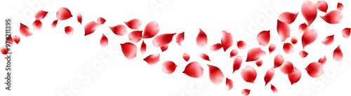 Flying red rose petals element decoration freshening in nature background. botanical vector