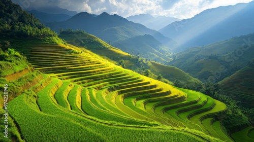 Scenic terraced rice fields in Vietnam, cascading down the mountainside