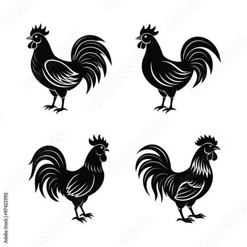 rooster and hens