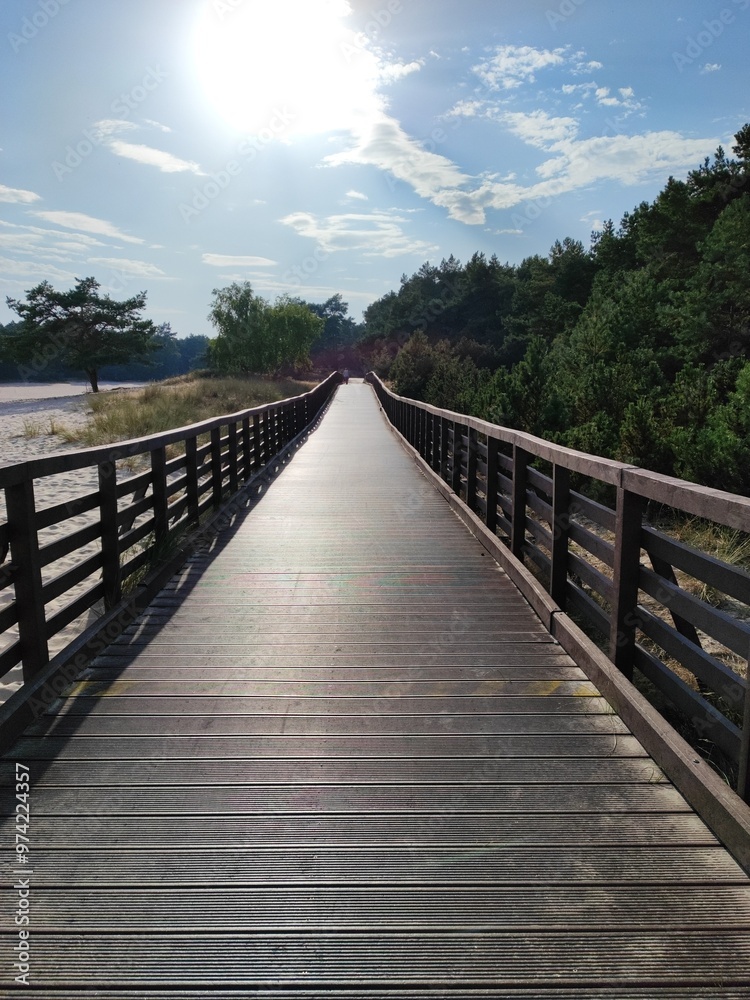 wooden bridge wooden bridge