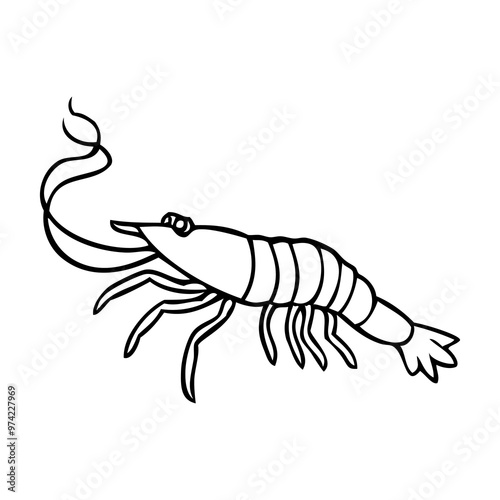 shrimp line vector illustration
