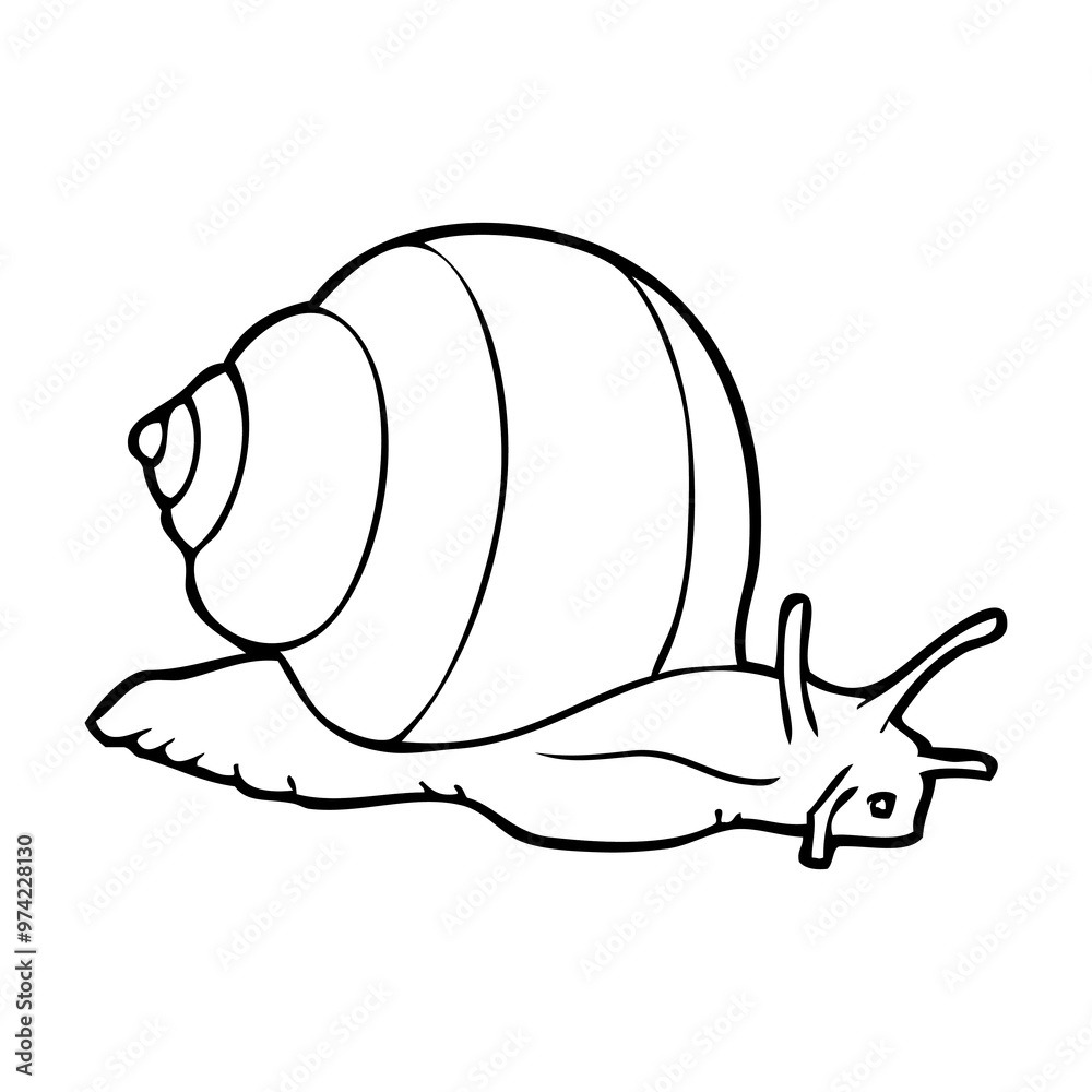 snail line vector illustration