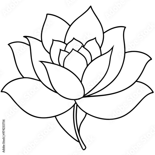 Black and white hand-drawn sketch of lotus flower icon silhouette isolated on a white background. Flower clipart vector silhouette