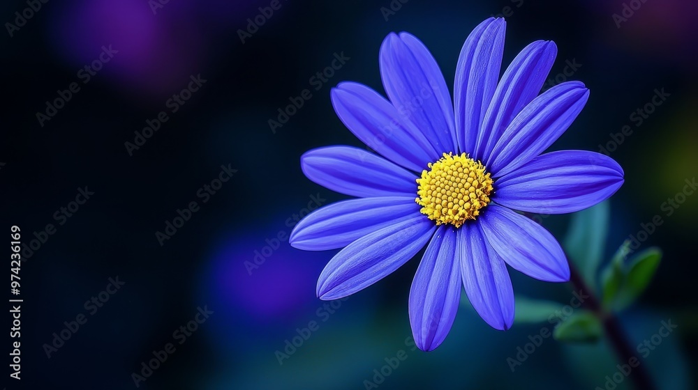 Fototapeta premium A tight shot of a blue bloom featuring a yellow core, encircled by a verdant stem