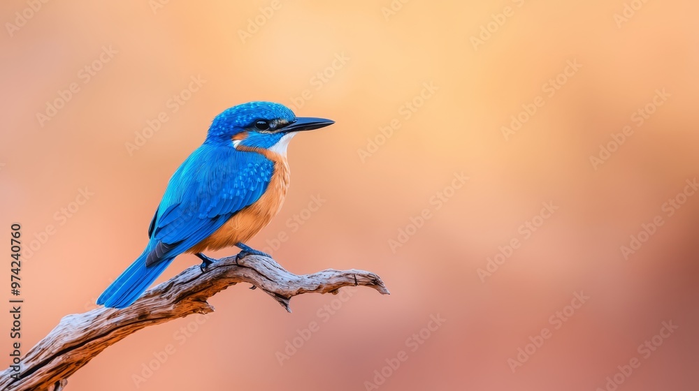  A small blue bird sits atop a tree branch against an orange and pink backdrop