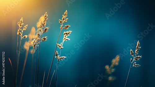  A tight shot of various plants with a softly blurred foreground and a distinct blue background photo