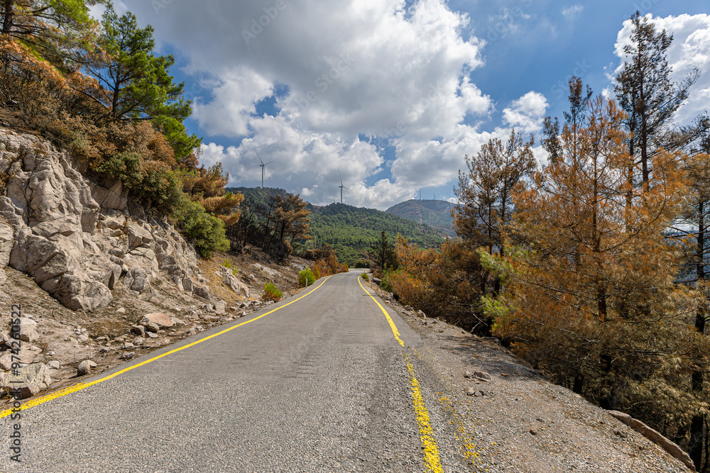 The situation after the forest fire in Izmir-Yamanlar Mountain on August 17, 2024.
