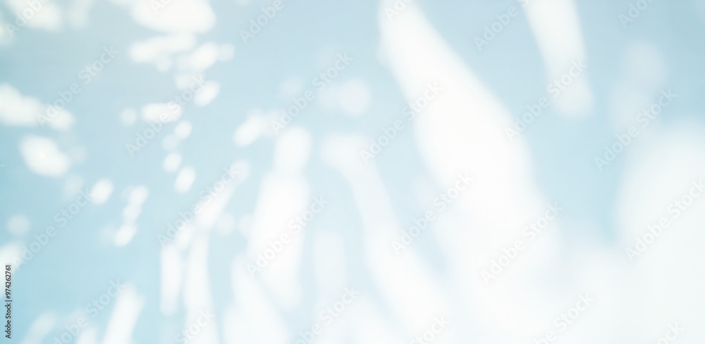 Natural Light Overlay. Soft Light and Shadows on White Background: Blue and White Abstract Texture for Design and Photography. Delicate Leaf Shadows Natural Light Overlay. Soft Light and Shadows on White Background: Blue and White Abstract Texture for Design and Photography. Delicate Leaf Shadows