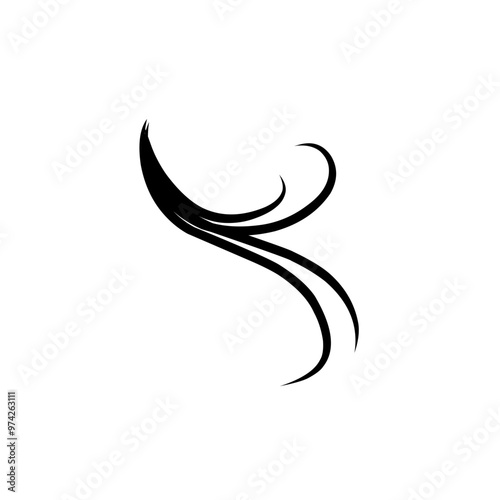 hairline illustration