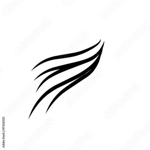hairline illustration