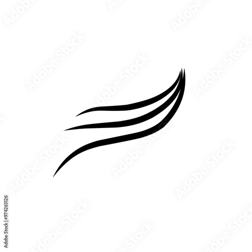 hairline illustration
