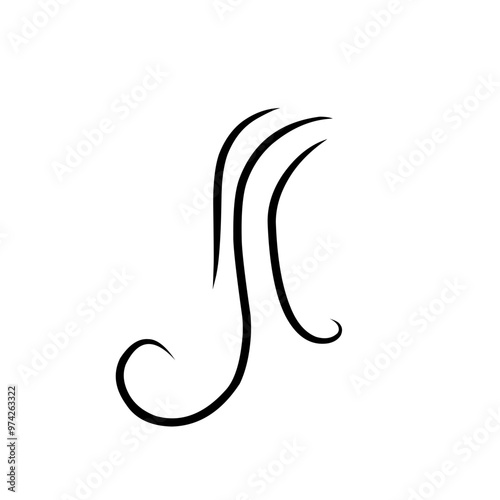 hairline illustration