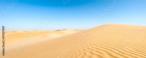 Expansive golden sand dunes under a clear blue sky in a tranquil desert