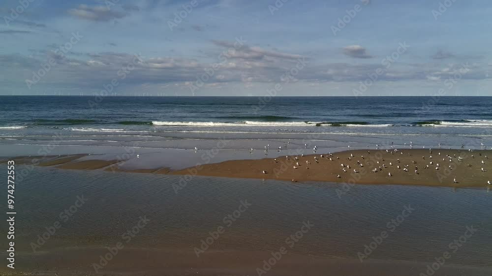 Strand Bergen aan Zee Holland Noordholland