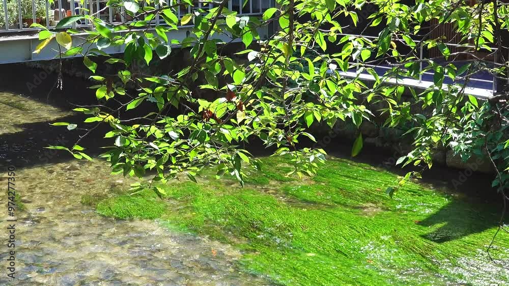 日本の古都　京都の風景