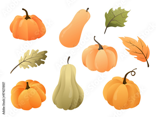 A set of autumn vegetables for the card design. Pumpkins on a white background.