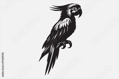 A beautiful cuie Parrot silhouette design.