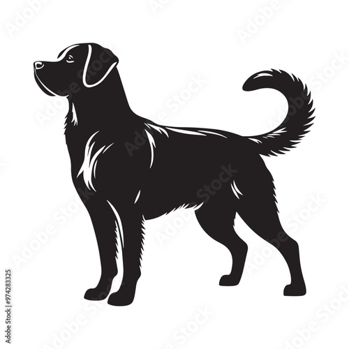 Unique dog silhouette for artistic and digital media - Dog black vector
