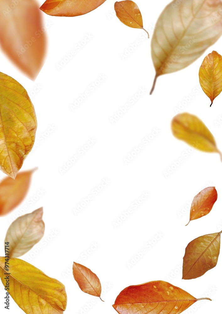 Obraz premium Autumn leaves frame