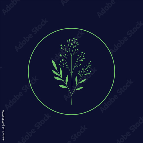 Organic Simplicity Botanical Line Art