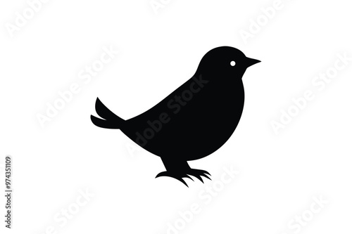 Robin Bird vector art and illustration photo