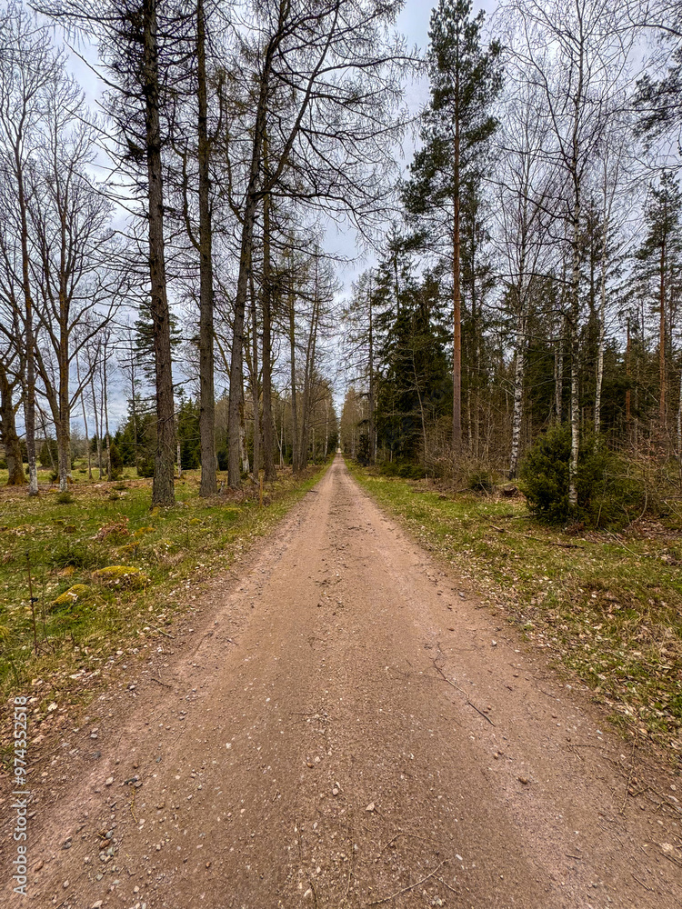 Schweden, Sweden, Sunset, Wald, Forest, Bäume, Trees, Landschaften, Landscapes, See, Lake, einsam, Urlaub, wunderschön, Drohnen, Droneshots, River, Fluss, wild, Natur, abgelegen, Inseln, Island, Schweden, Sweden, Sunset, Wald, Forest, Bäume, Trees, Landschaften, Landscapes, See, Lake, einsam, Urlaub, wunderschön, Drohnen, Droneshots, River, Fluss, wild, Natur, abgelegen, Inseln, Island,
