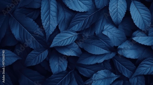 A close-up of dark blue leaves, creating a textured and abstract background.