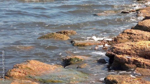 Windy weather, waves crashing on rocks and foaming in the salty hypersaline Kuyalnik estuary, Ukraine photo