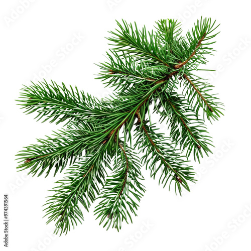 Green pine tree branch isolated on transparent background, natural conifer close-up, Ai Generation