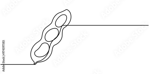 Fava beans simple color vector illustration. One continuous line art drawing with lettering organic fava beans, Vector illustration of peas isolated on white background. Black and White for coloring.