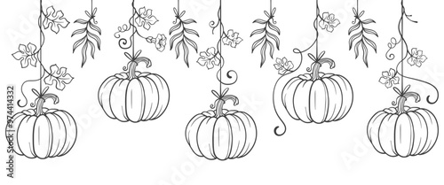 pumpkin with leaves, Pumpkin vector illustration for thanksgiving, halloween,autumn,fall season design, vector eps