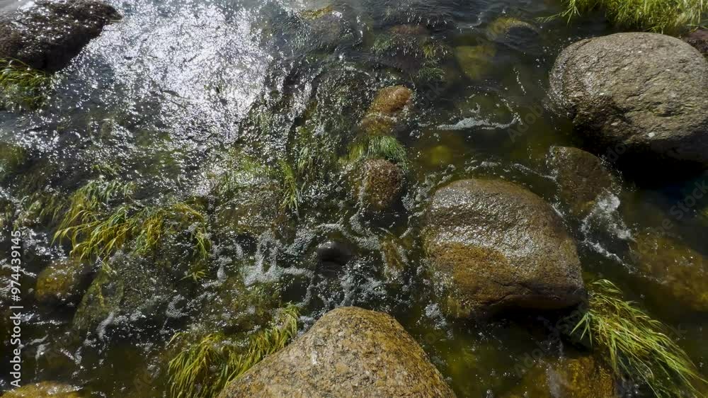Top-down view of foamy waves washing over large rocks and submerged grasses along a lake shore. The sunlight reflects off the water surface, enhancing the dynamic motion of the crashing waves Top-down view of foamy waves washing over large rocks and submerged grasses along a lake shore. The sunlight reflects off the water surface, enhancing the dynamic motion of the crashing waves