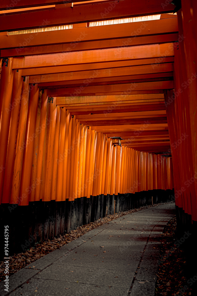 Fototapeta premium Fushimi Inari in Tokyo