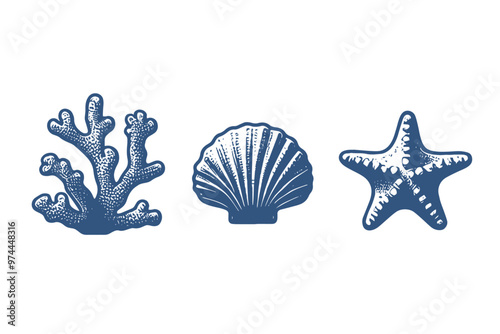 coral, shell and starfish. sea ​​set. Engraving vintage vector illustration, monochrome black color. Woodcut	