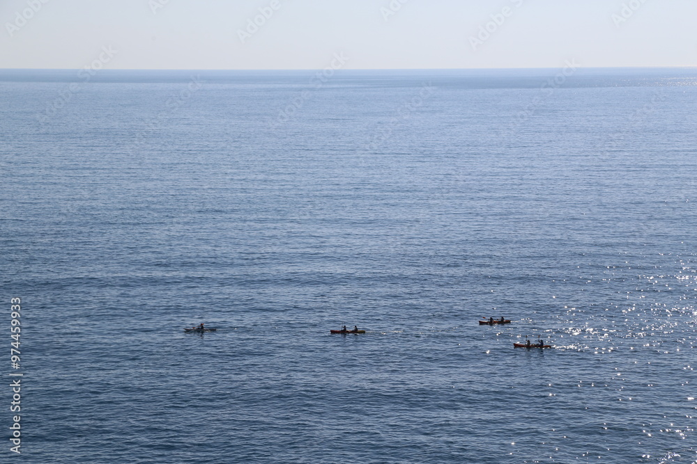 Fototapeta premium seagulls on the sea