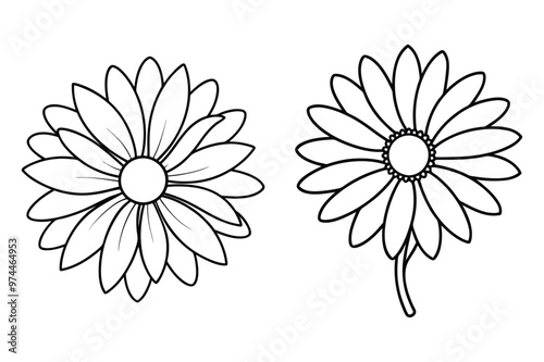 black and white flowers vector design with illustration