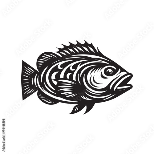 Creative Set Of A Fish Vector Design.