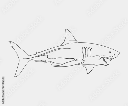 Minimalist Line Art of Great White SharkOne-line drawing of a great white shark, capturing its fierce and streamlined form in a minimalist, abstract art style.