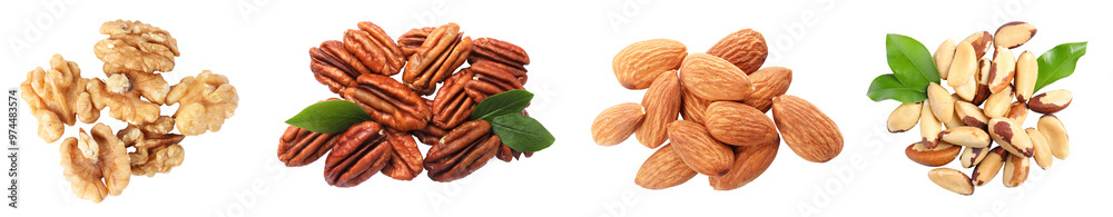 Different nuts on white background, collection. Pecan, walnut, almond and brazil nut Different nuts on white background, collection. Pecan, walnut, almond and brazil nut