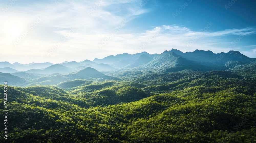 A lush, green mountain landscape with clear skies, symbolizing the beauty of untouched nature and the need for conservation efforts. A lush, green mountain landscape with clear skies, symbolizing the beauty of untouched nature and the need for conservation efforts.