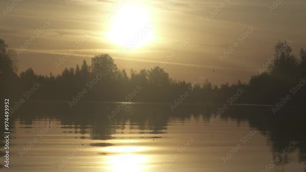 Spring sunrise over the northern smooth water river. Trees with budding foliage, spring clothes the land with verdure. Seagulls are flying Spring sunrise over the northern smooth water river. Trees with budding foliage, spring clothes the land with verdure. Seagulls are flying