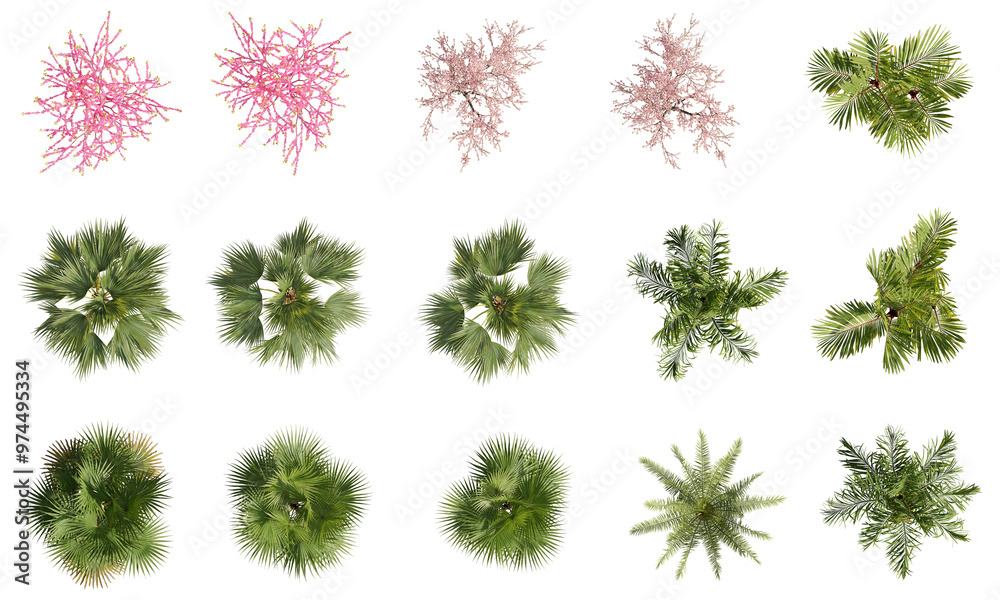 set of trees rendered from the top view, 3D illustration, for digital ...