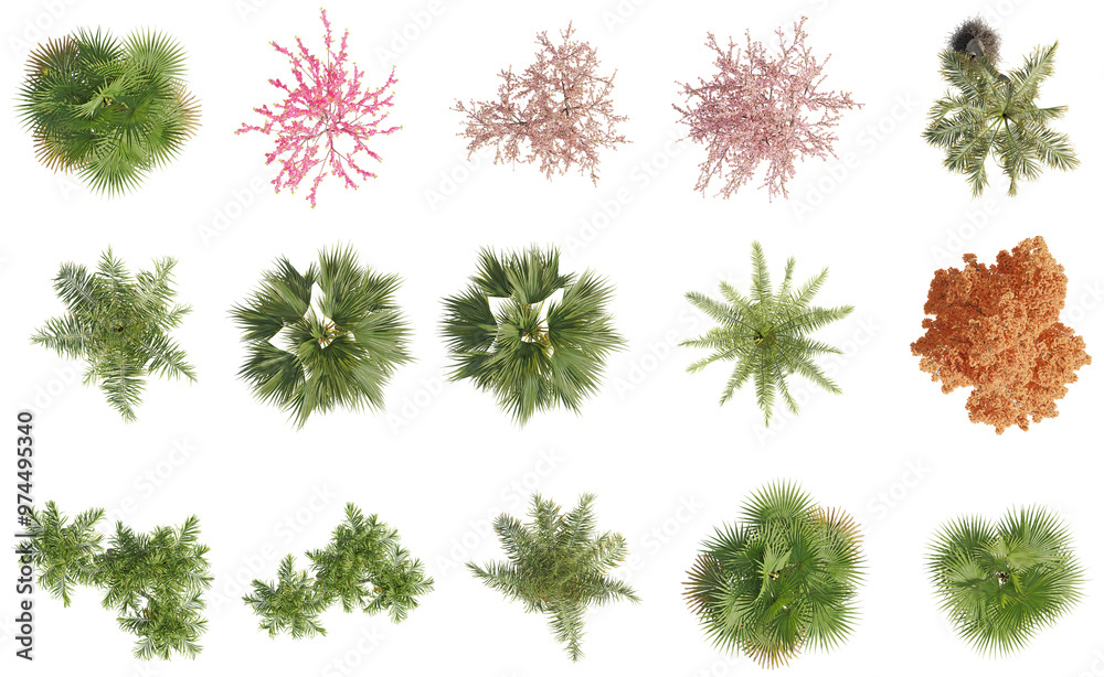 set of trees rendered from the top view, 3D illustration, for digital composition, illustration, 2D plans, architecture visualization