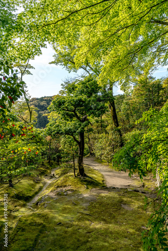 The beautiful nature and gardens in Kyoto photo