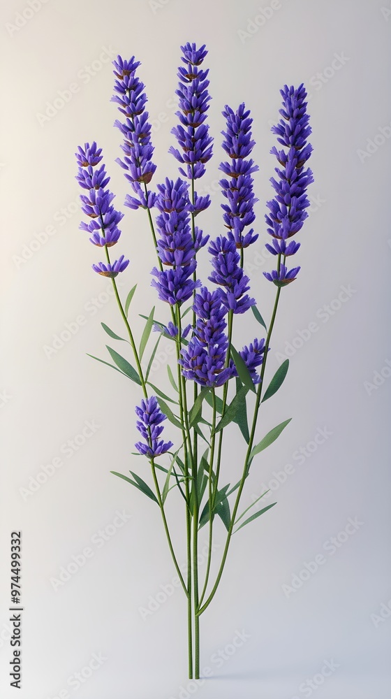Naklejka premium Beautiful High-Resolution Lavender Image Capturing the Subtle Details of Each Flower