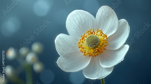 White Flower Macro Photography: Delicate Petals and Vibrant Colors