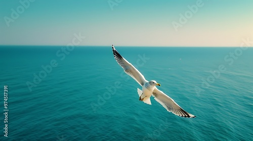 Seagull Flying Over Blue Ocean Water photo